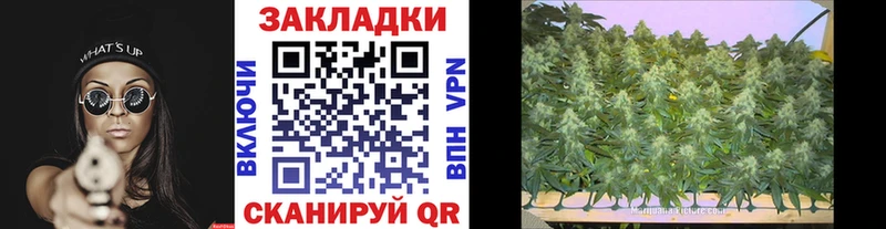 Купить закладку Канабис  LSD-25  ГАШИШ  Меф мяу мяу  Метамфетамин  A-PVP  Галлюциногенные грибы  Куровское