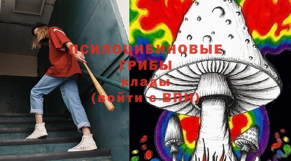 бошки Горняк
