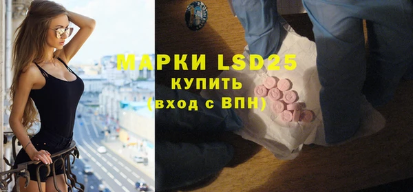шишки Горно-Алтайск