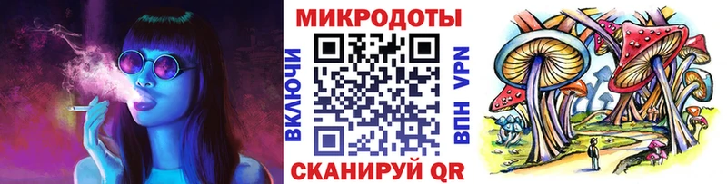 Купить где  Куровское  Галлюциногенные грибы Psilocybe 